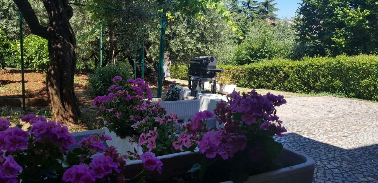 Clara 3 Apartman Porec